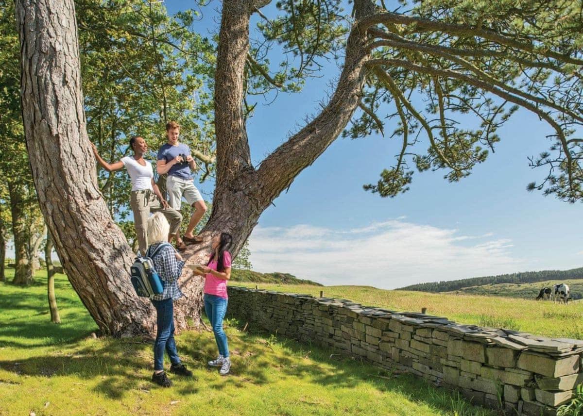 Brockwood Hall Lodges Silecroft エクステリア 写真